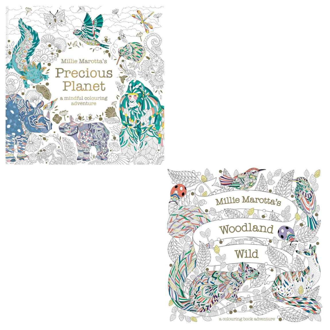 314376-millie-marotta-adult-colouring-book-precious-planet