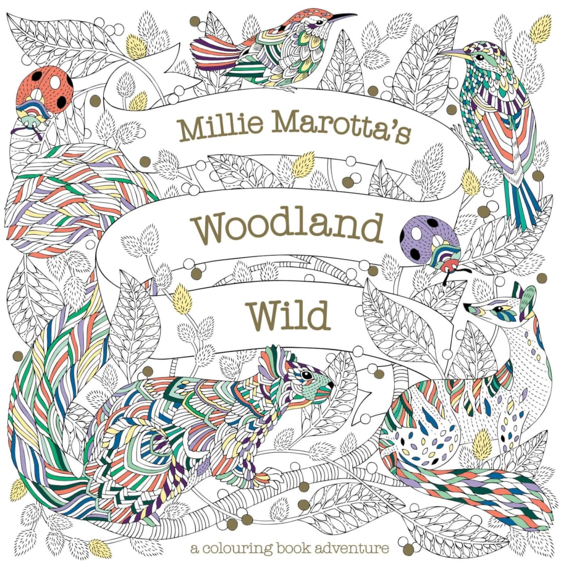 314376-millie-marotta-adult-colouring-book-woodland-wild