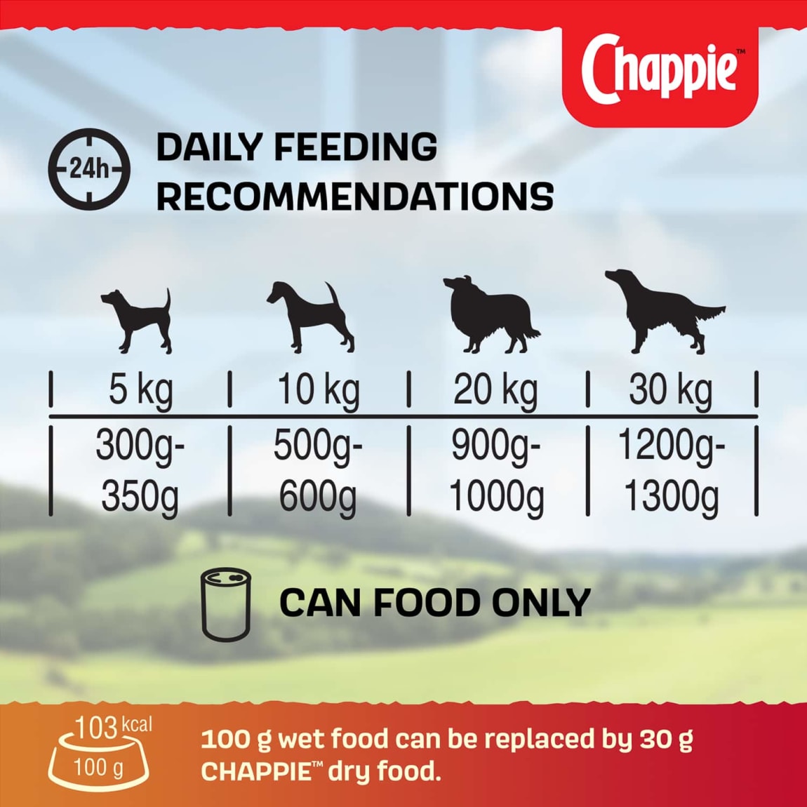 314507-chappie-dog-food-6x412g-3