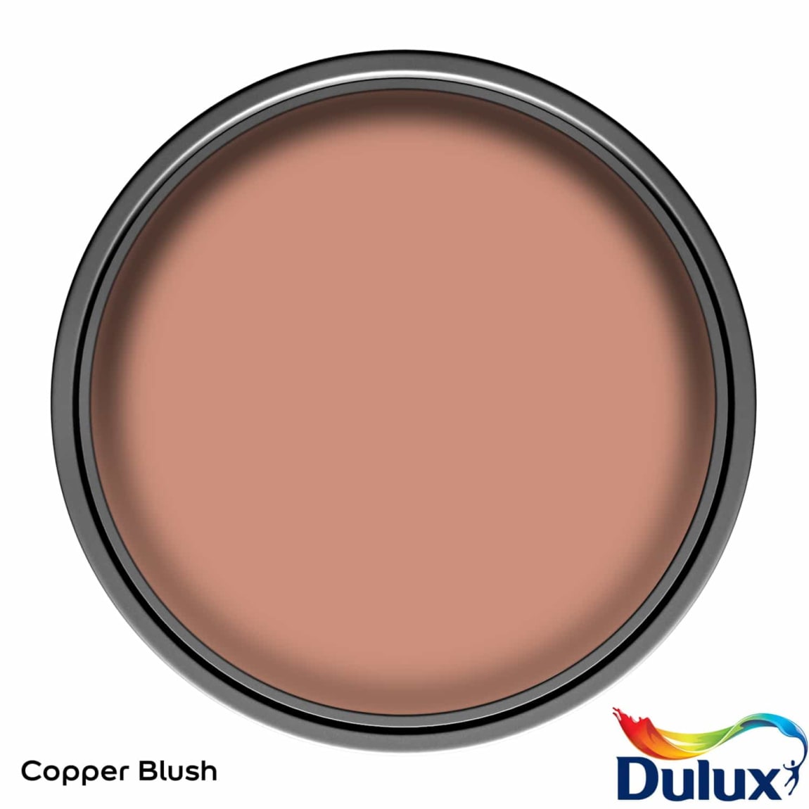317713-dulux-matt-copper-blush-2_5l-paint-3