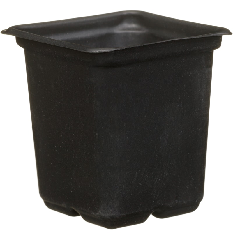 Black Plant Pots 15pk Garden Planters & Pots B&M