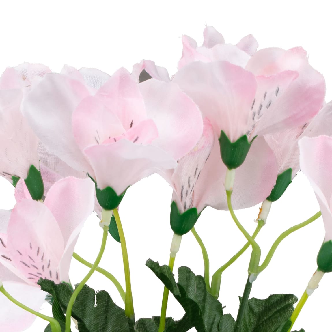 335248-small-bunch-pink-2