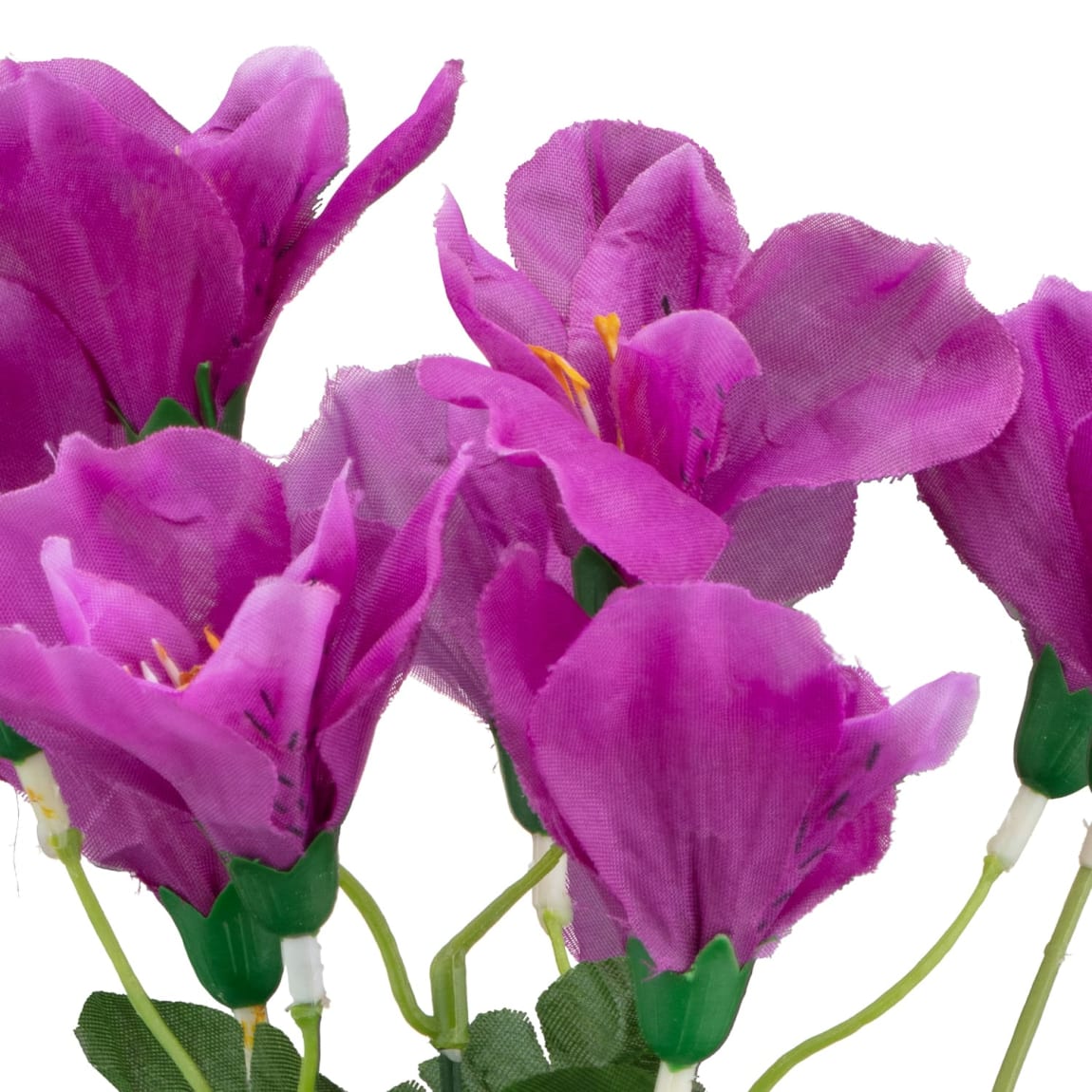 335248-small-bunch-purple-2