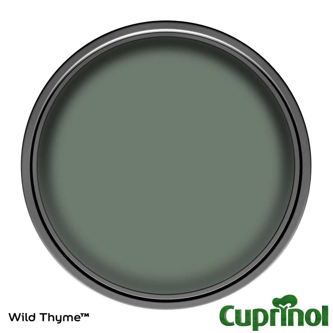 338538-cuprinol-garden-shades-wild-thyme-5l-paint1