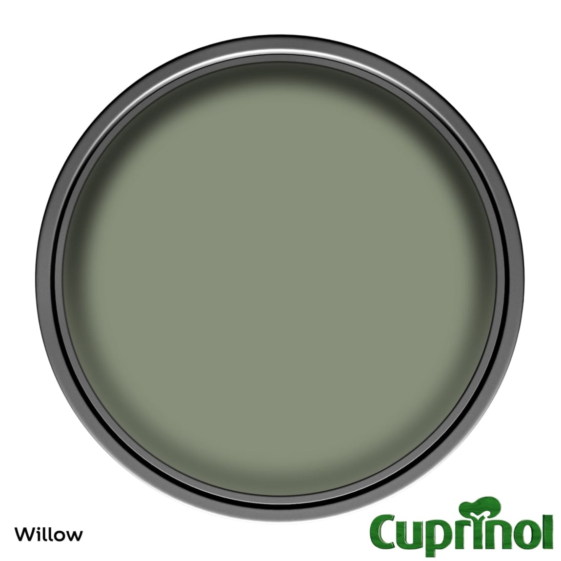 338541-cuprinol-garden-shades-willow-5l-paint1