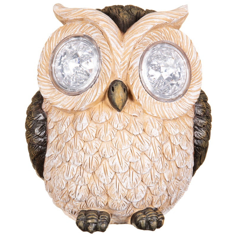 393255-353655-crystal-eyes-owl-brown-2