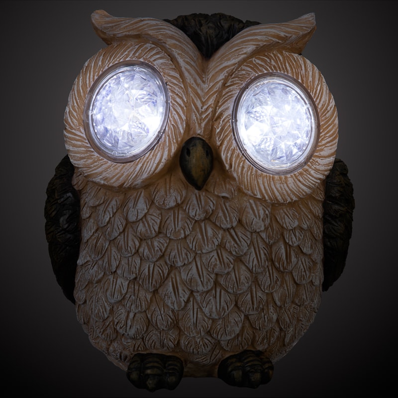 393255-353655-crystal-eyes-owl-brown-copy