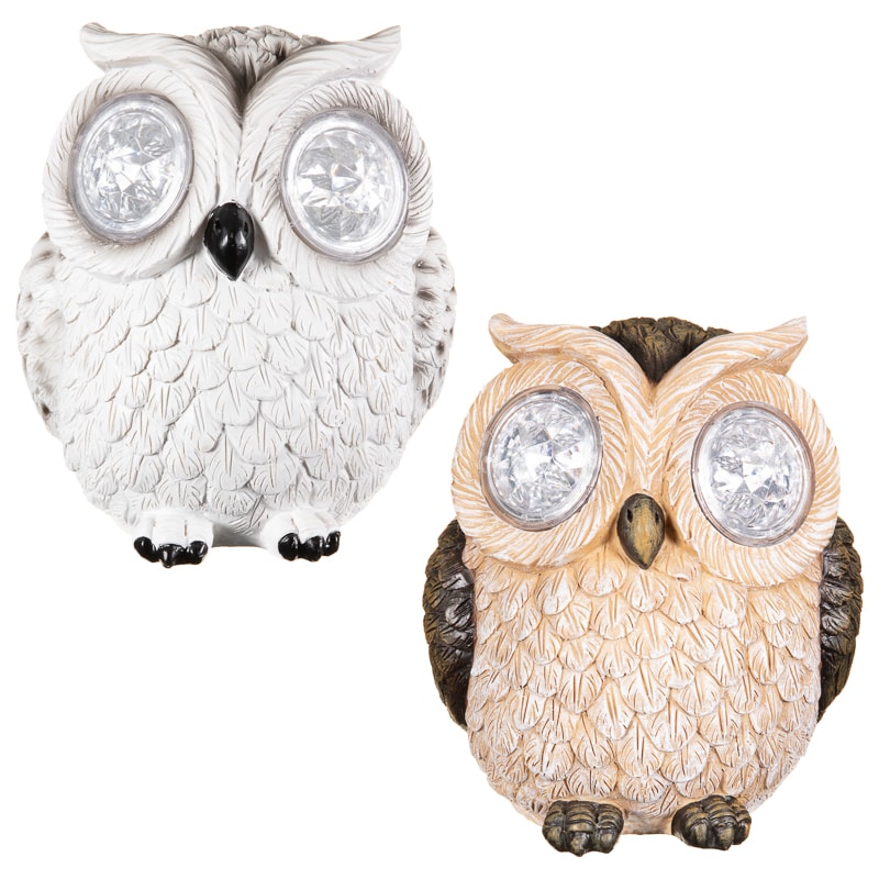 393255-353655-crystal-eyes-owl-group