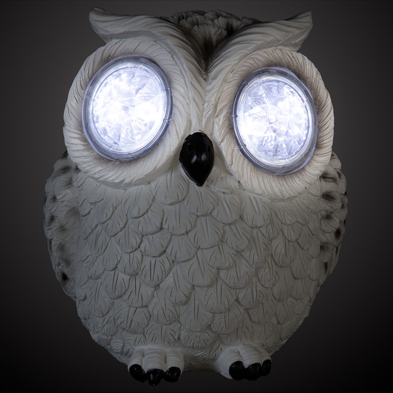 353655-crystal-eyes-owl-white-copy