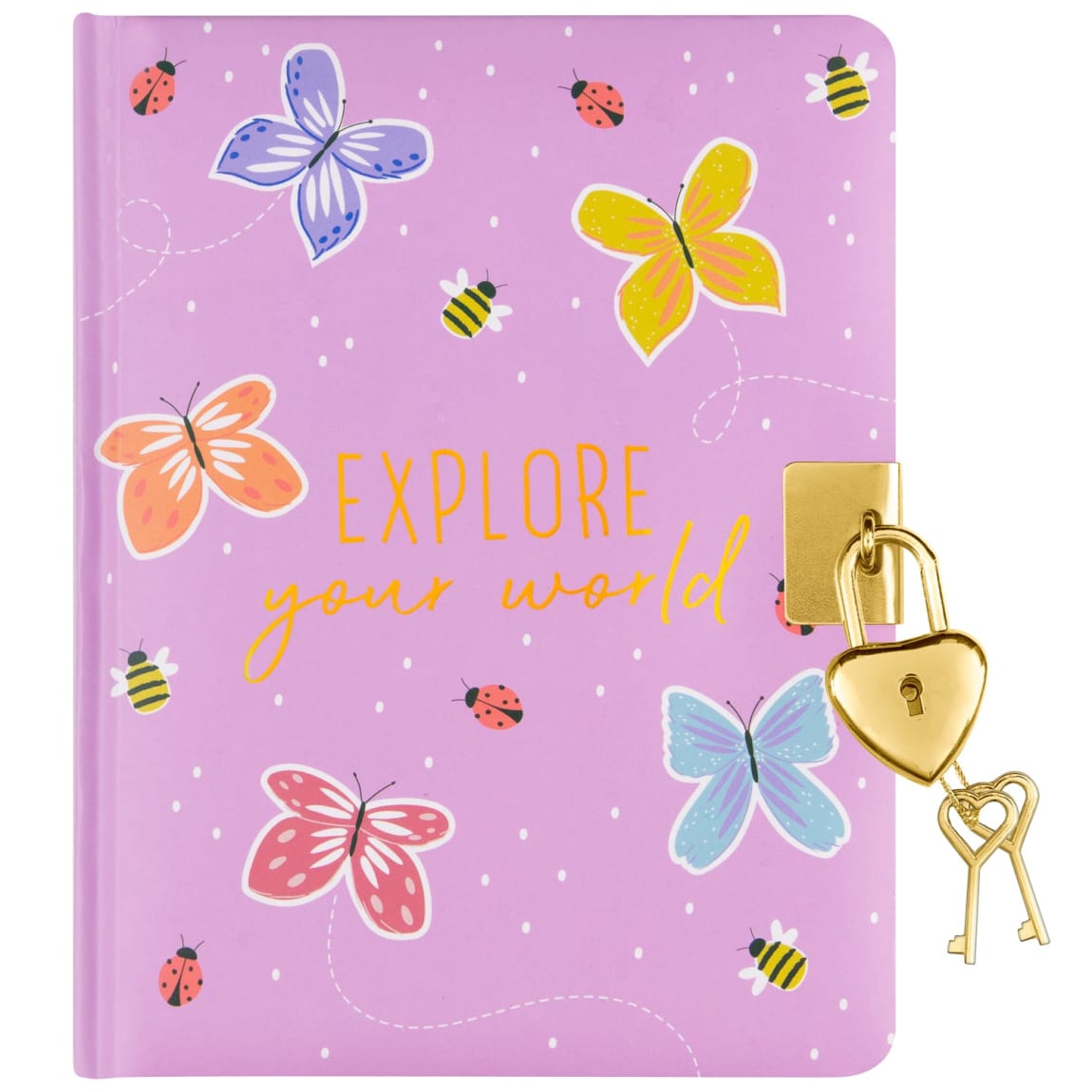 355629-lockable-secrets-book-explore-your-world