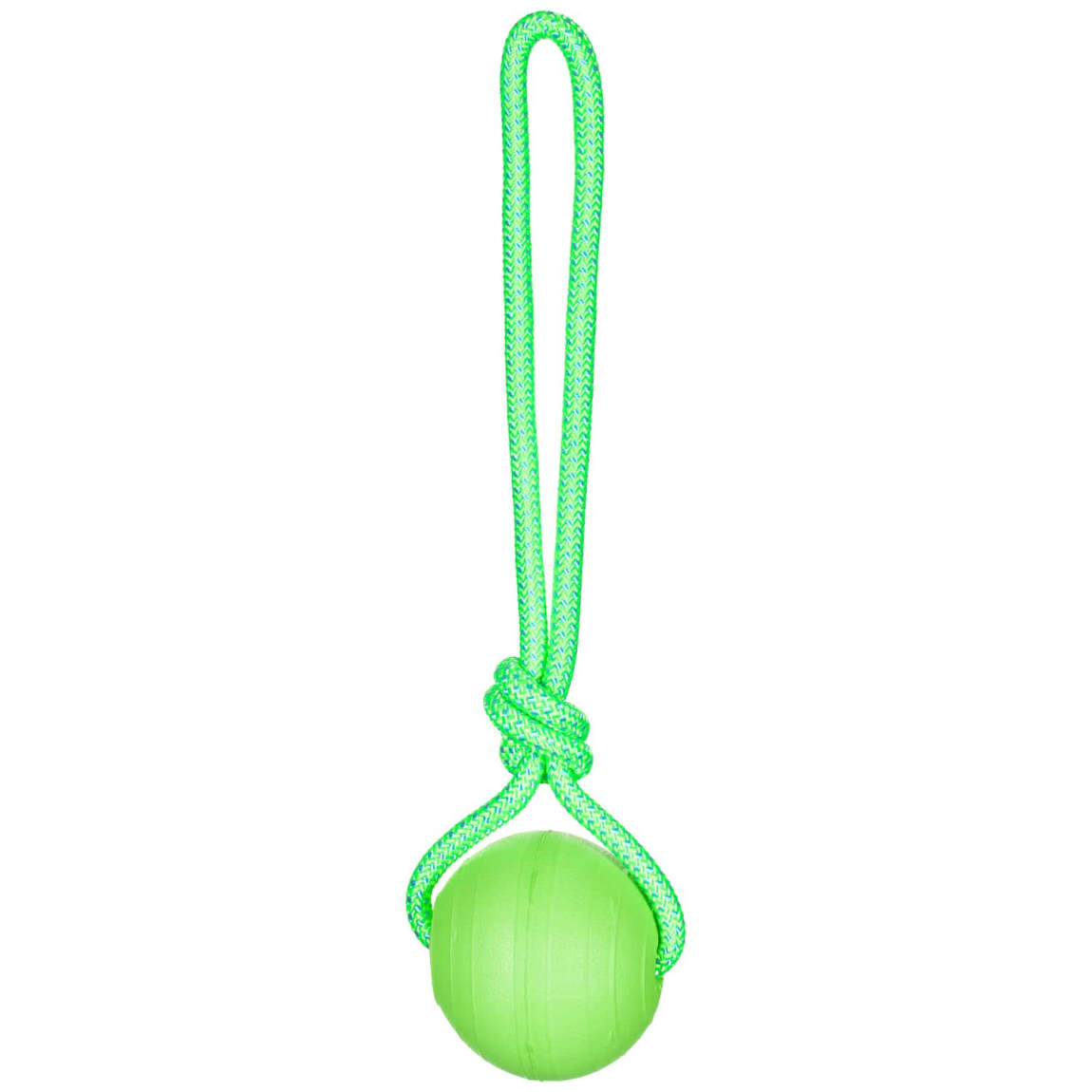 Floating Dog Toy Dog Toys B&M