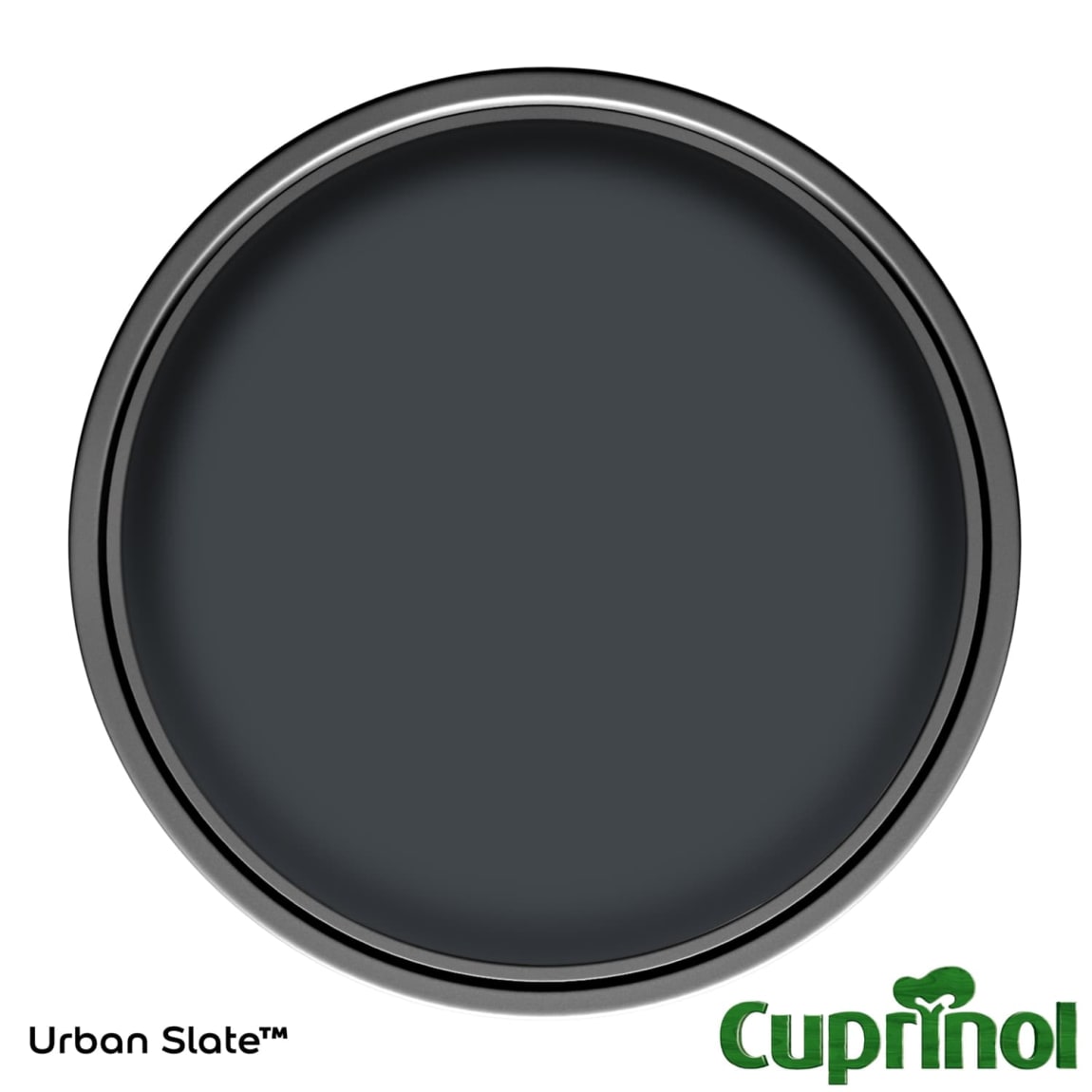 359243-cuprinol-garden-shades-urban-slate-1l-paint1