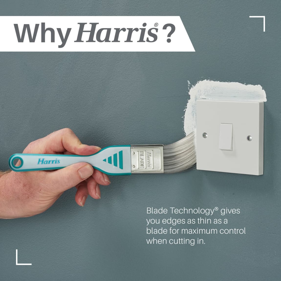 361360-harris-blade-brushes-3pk-diy-3