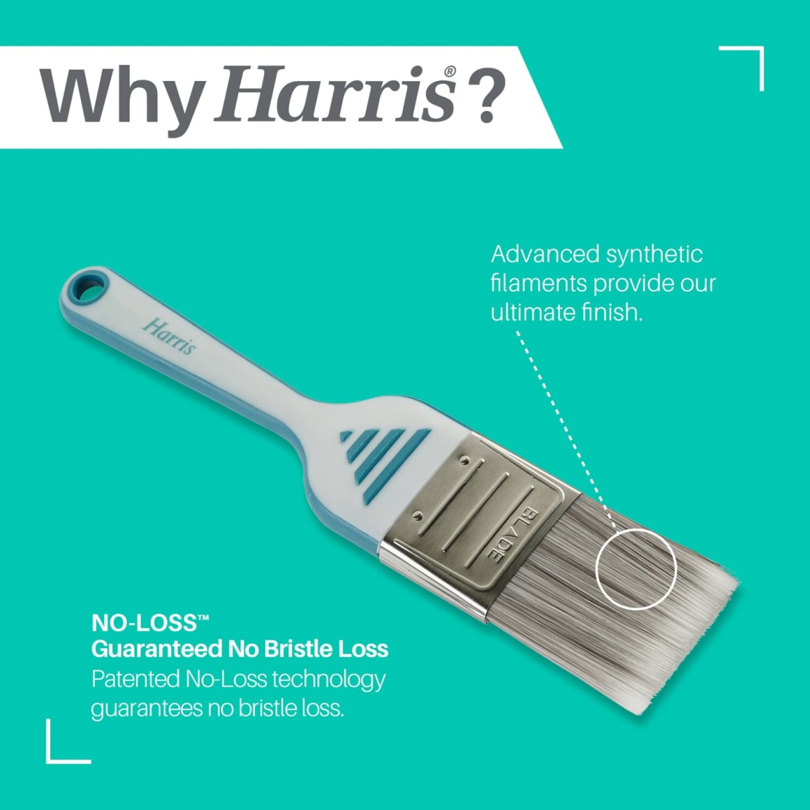 361360-harris-blade-brushes-3pk-diy