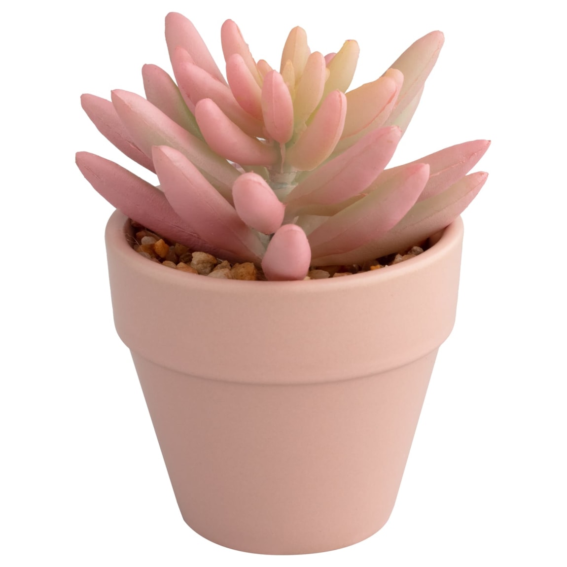 380108-362790-small-succulent