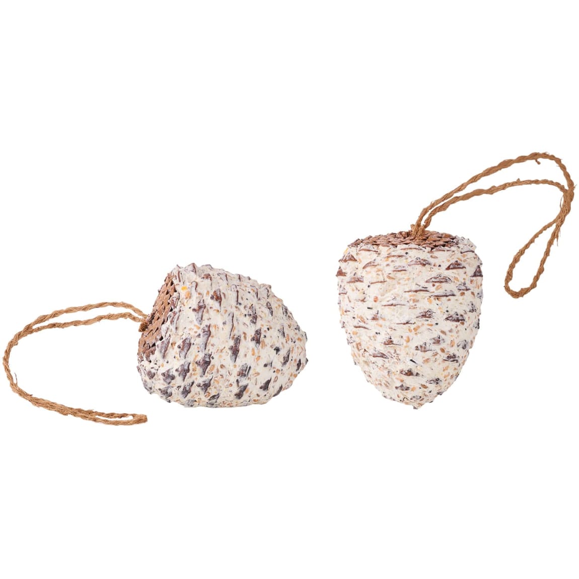 364550-giant-pine-cone-bird-treat