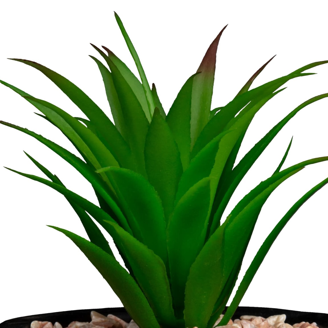 368209-succulent-with-wooden-holder-black-2