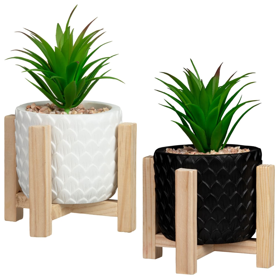 368209-succulent-with-wooden-holder-group