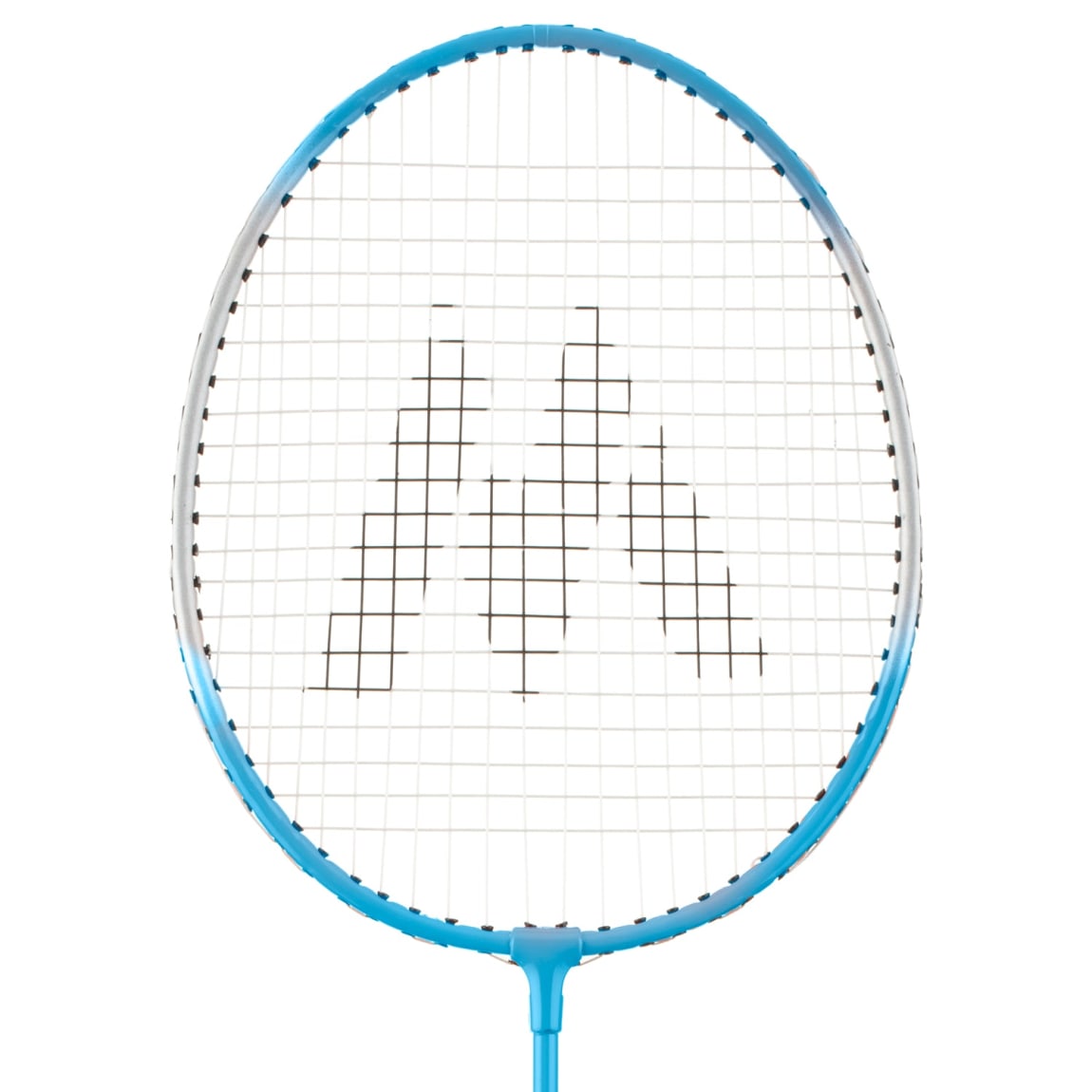 380956-368577-pro-badminton-set-5