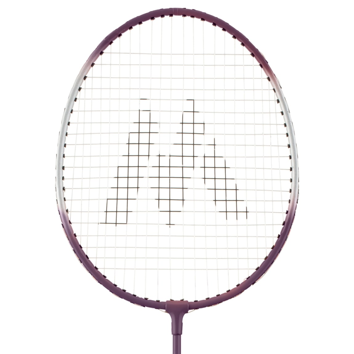 380957-368579-family-badminton-set-3