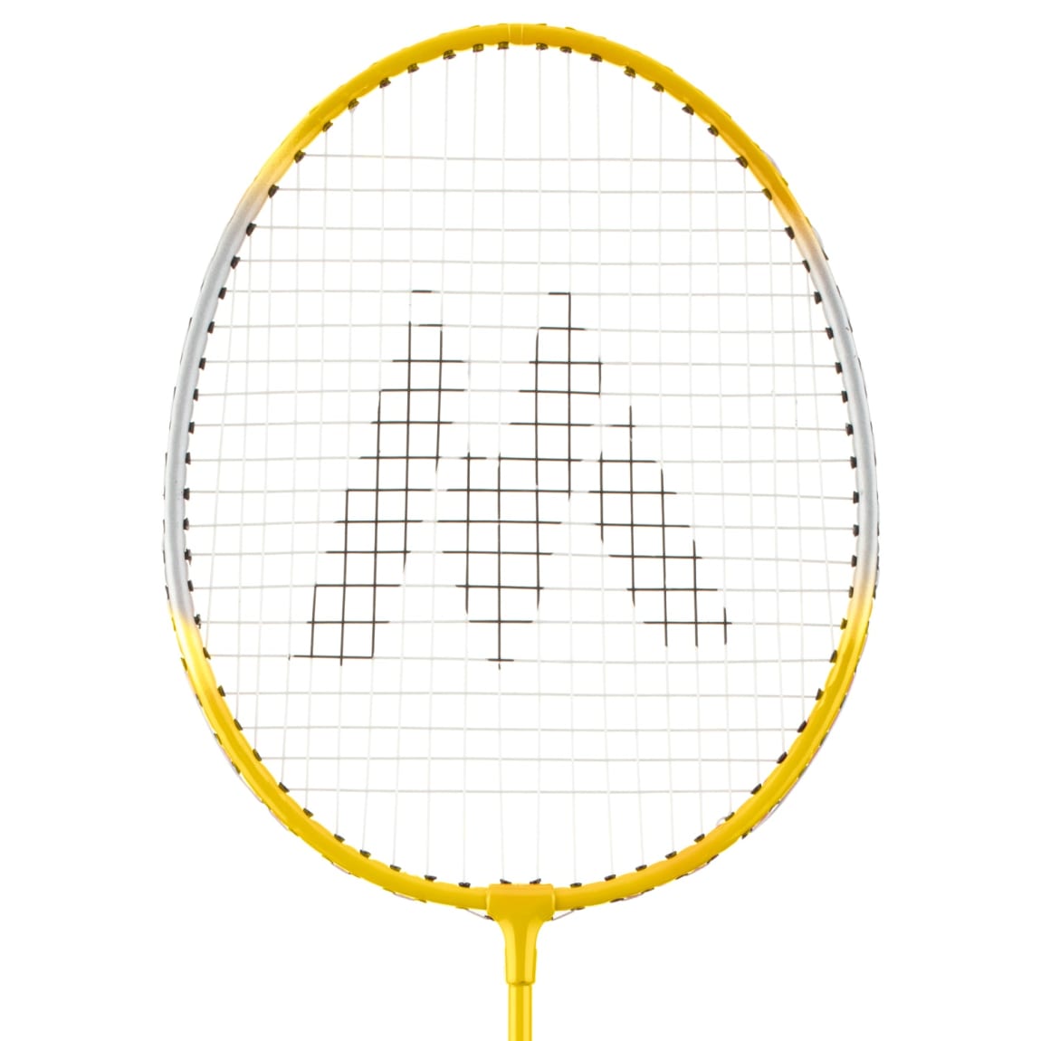 380957-368579-family-badminton-set-7