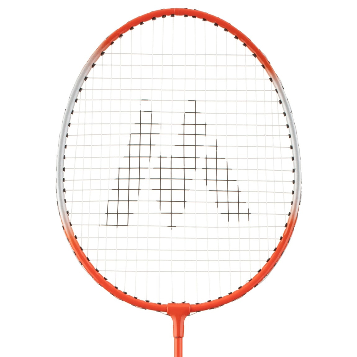 380957-368579-family-badminton-set-9