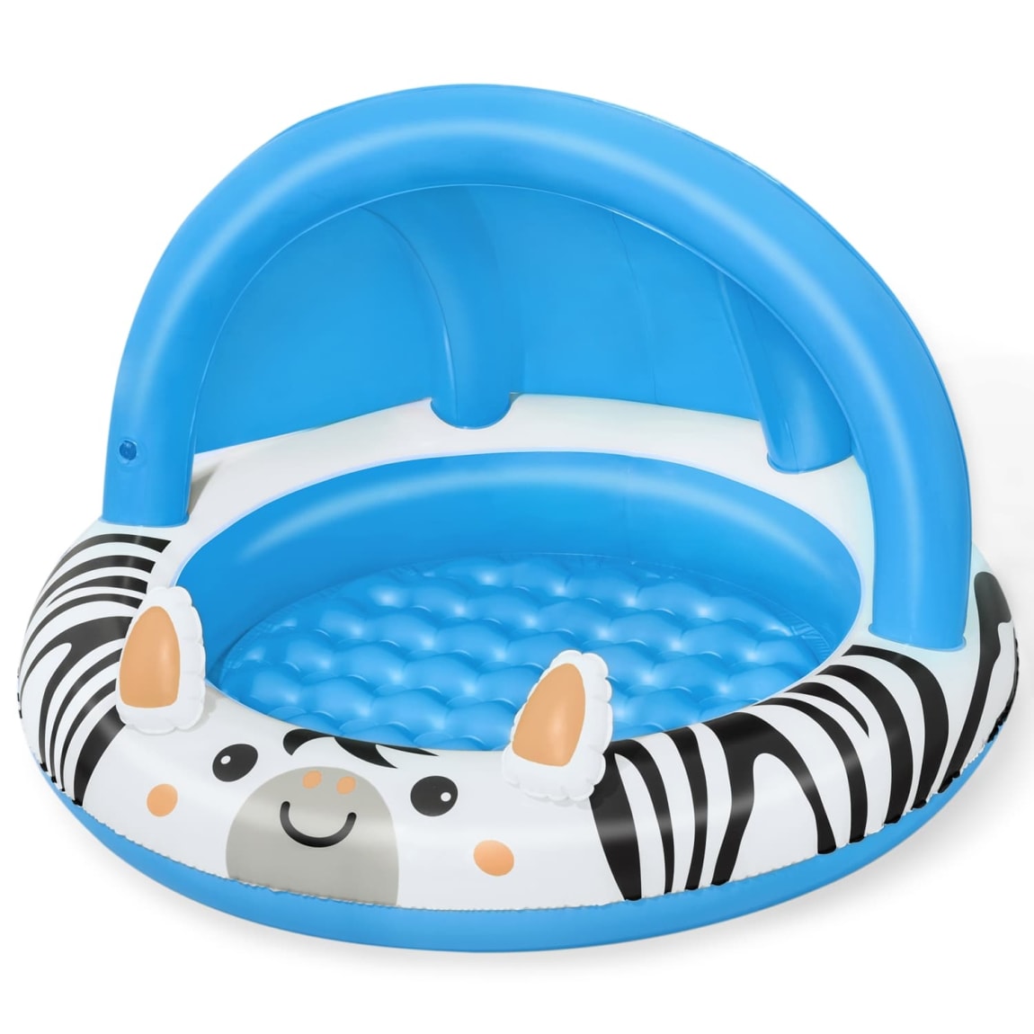 368586-baby-zebra-pool-3