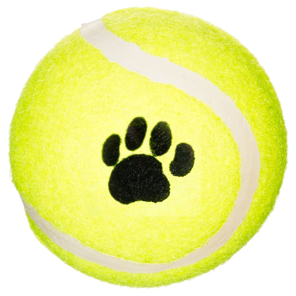 371411-throw-and-fetch-tennis-balls-3