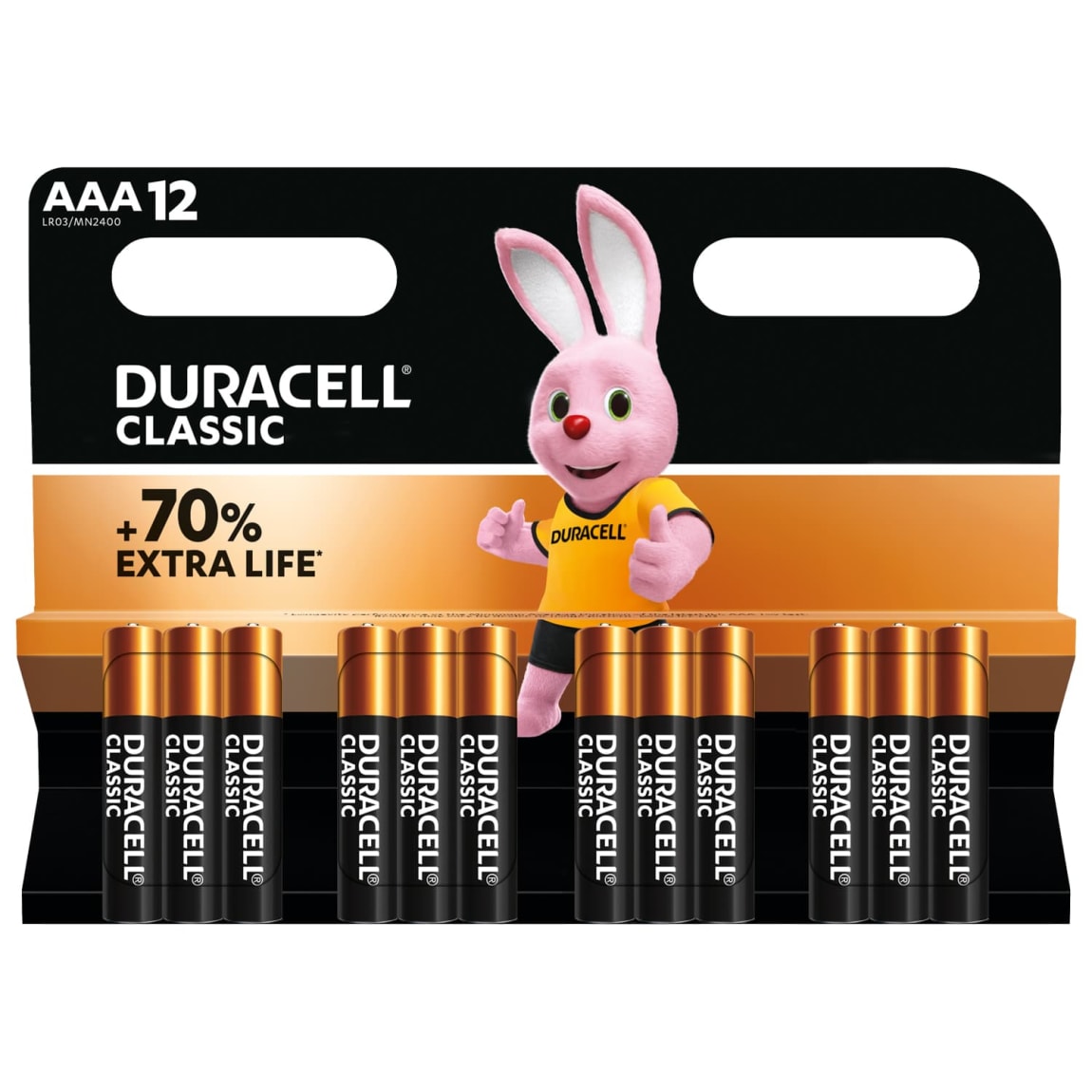 376676-duracell-classic-aaa-12pk