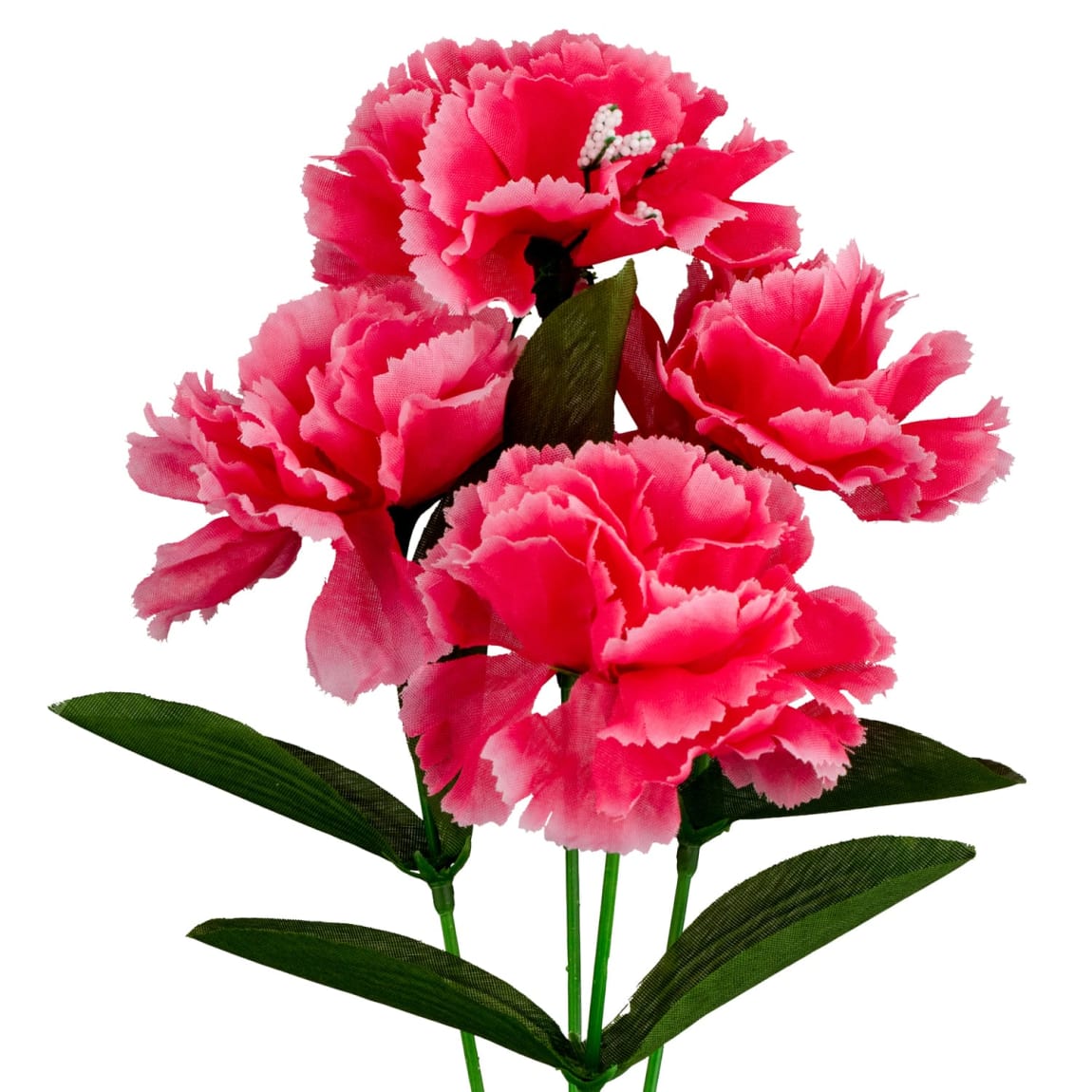 376996-small-bunches-in-cdu-6