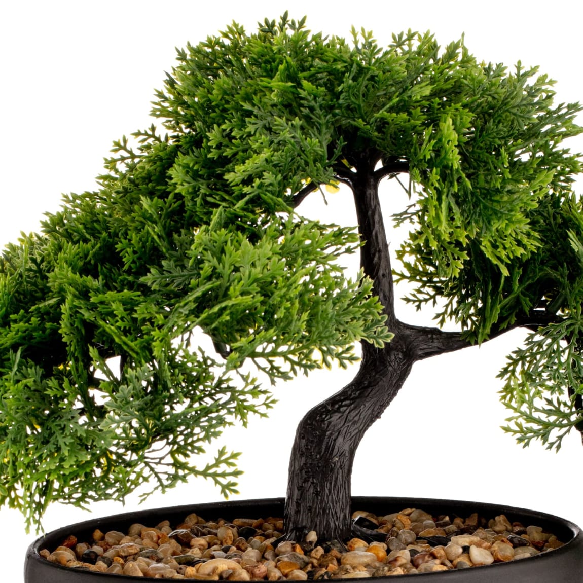 377010-bonsai-tree-2