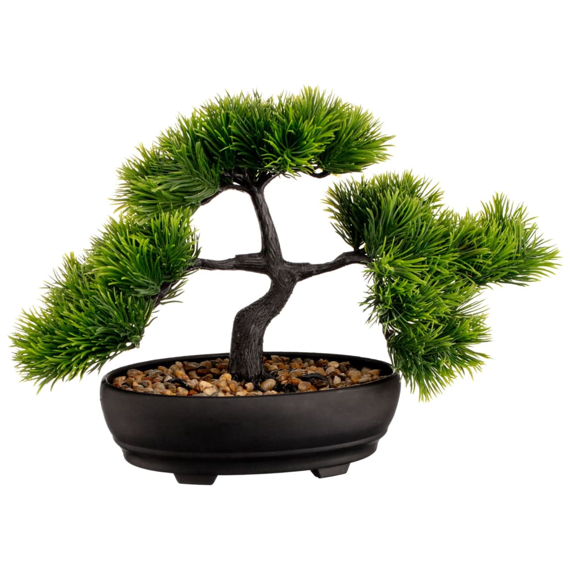 377010-bonsai-tree-3