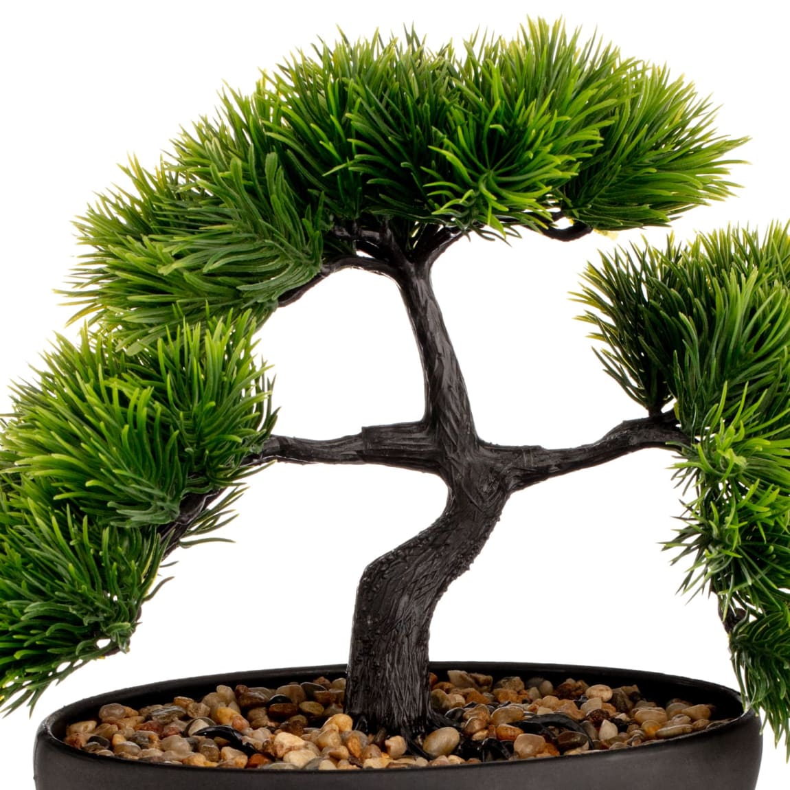 377010-bonsai-tree-4