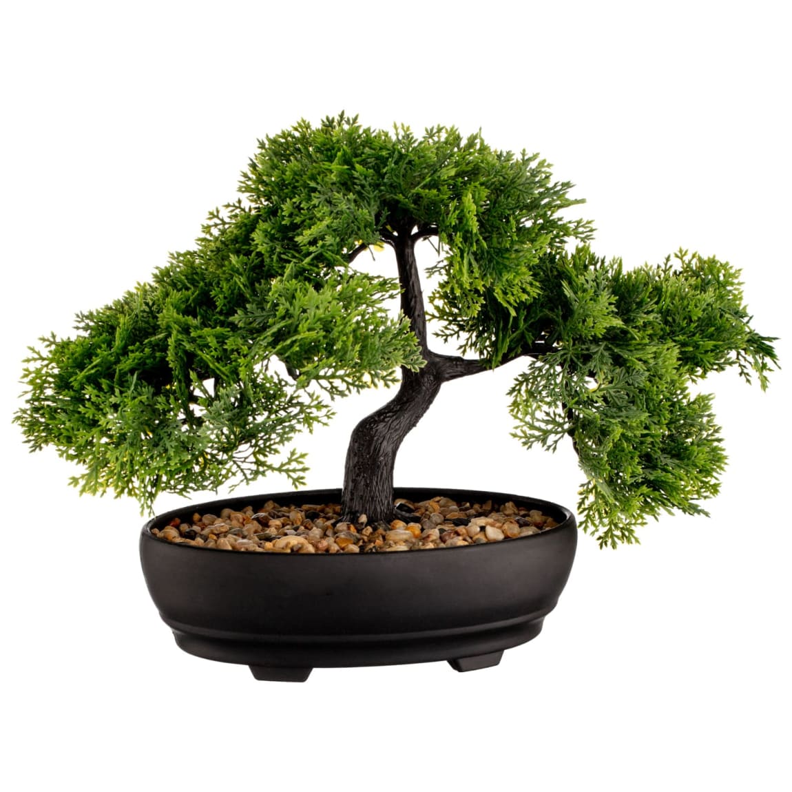 377010-bonsai-tree