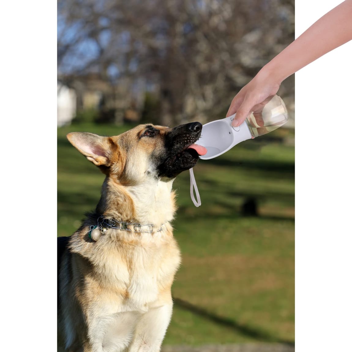 394733-378665-pet-travel-water-bottle-leakproof-350ml