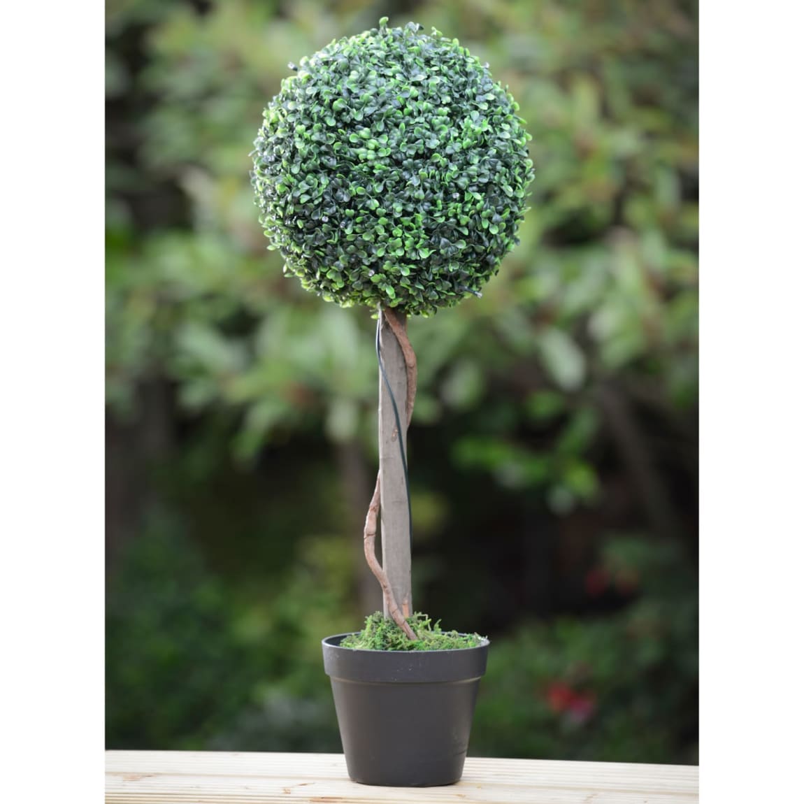 393017-379348-70cm-solar-powered-topiary-tree-30-cool-white-leds-3