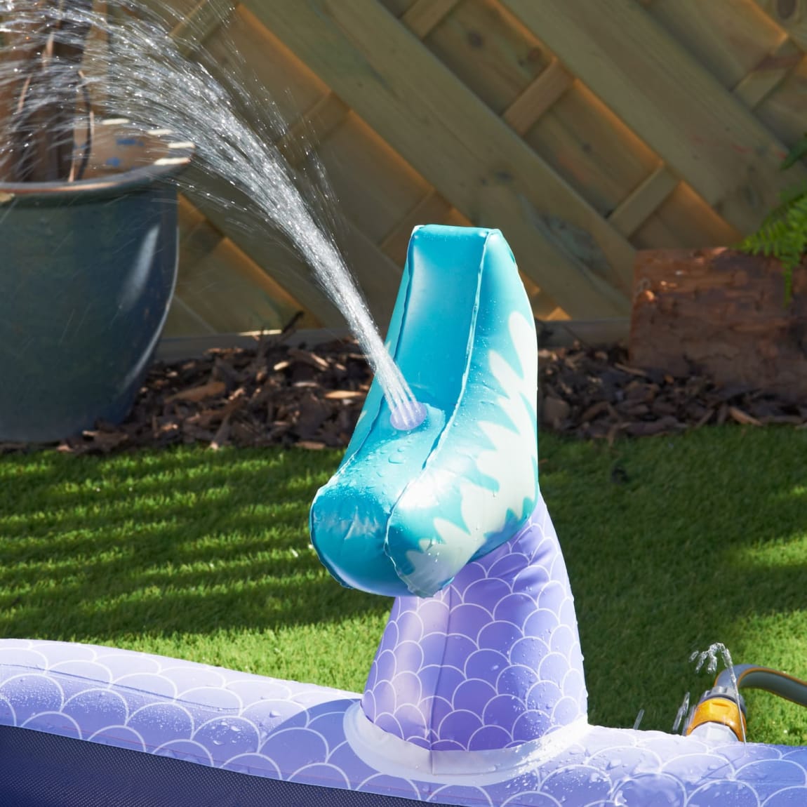 379991-pet-splash-pool