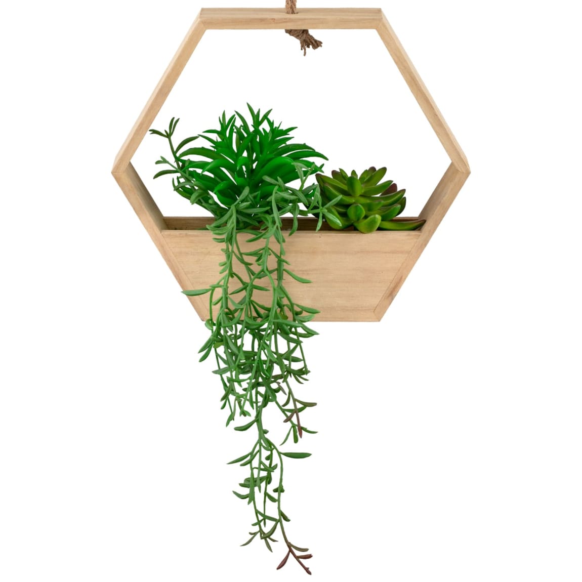 380128-hanging-wooden-succulent-2