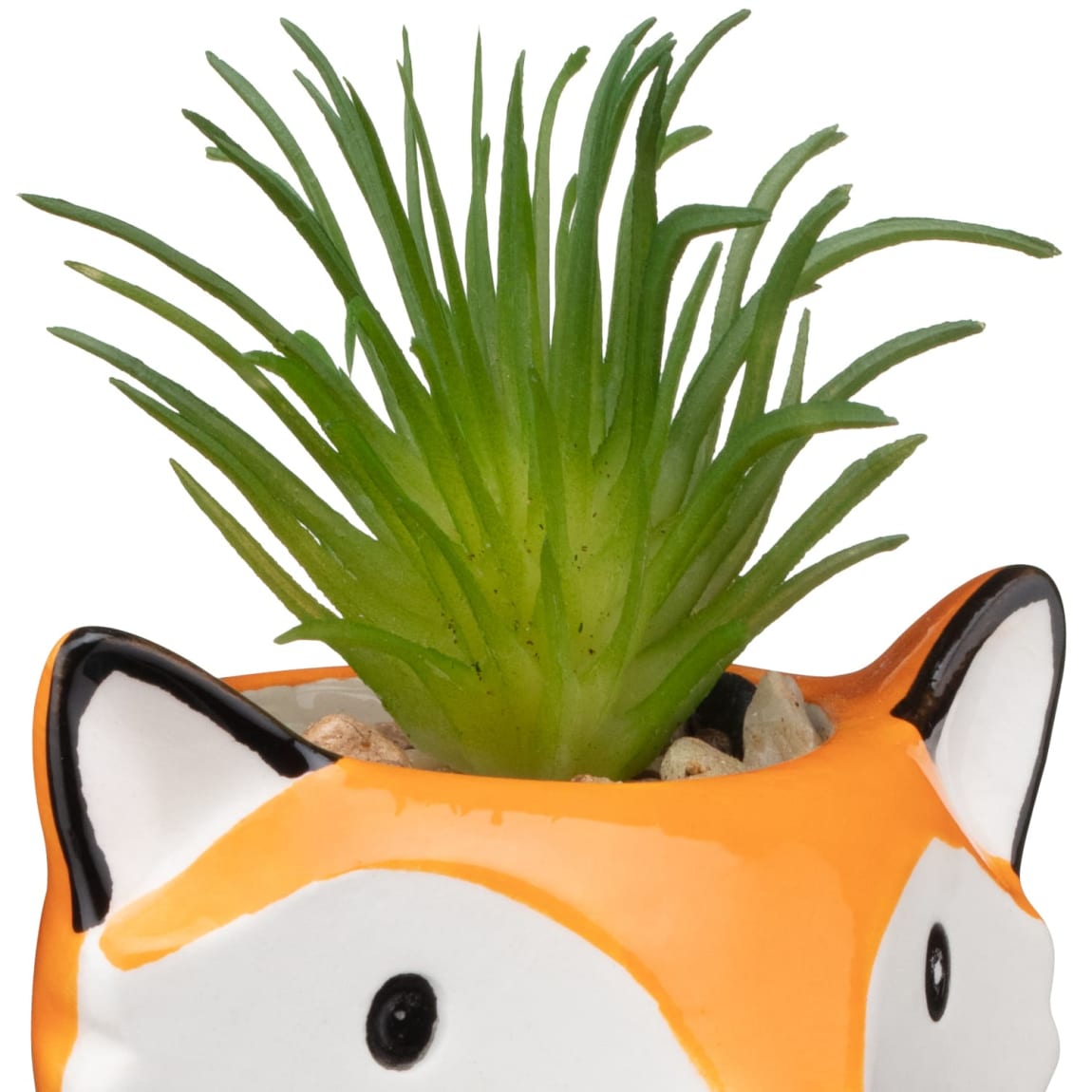 380193-glazed-animal-succulent-fox-2