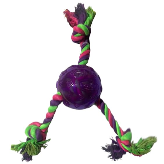 383009-scooby-doo-rope-tugger-with-ball-purple