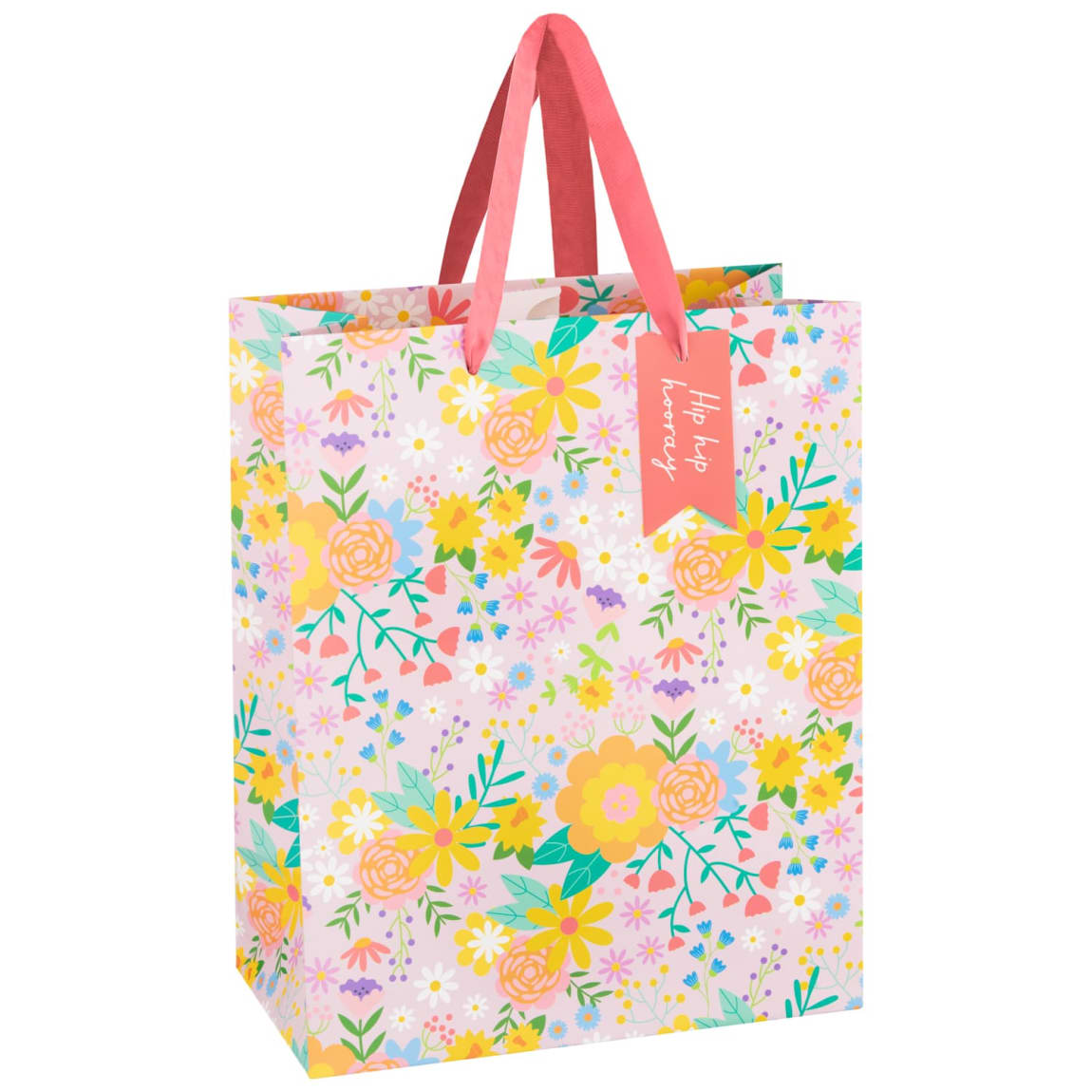 383293-2pk-large-gift-bags-birthdy-cake-2