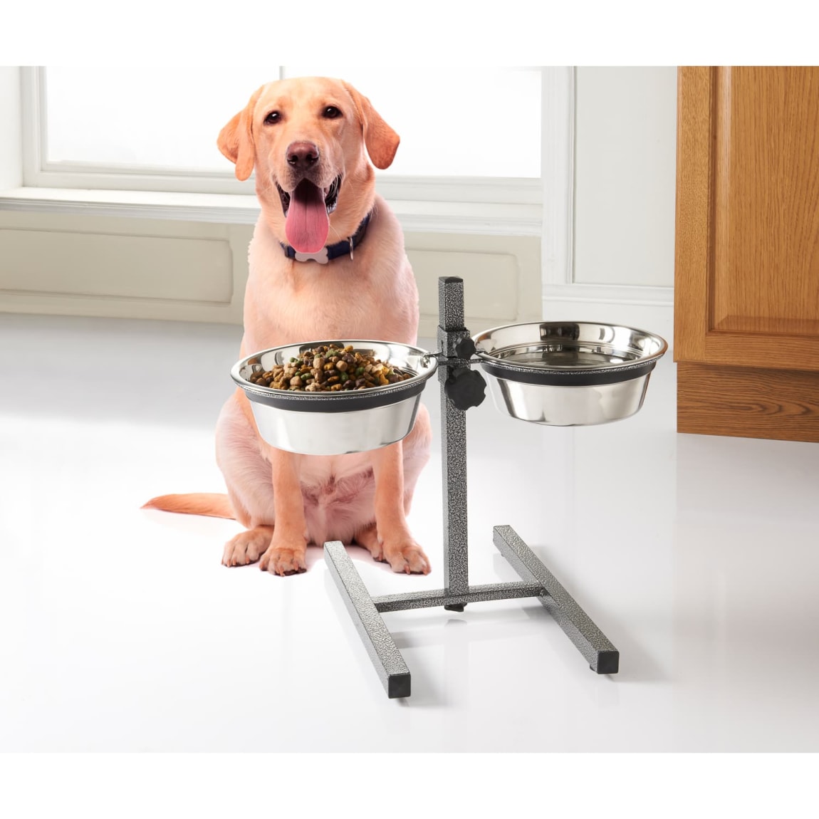 383832-petshop-steel-double-raised-feeder-3