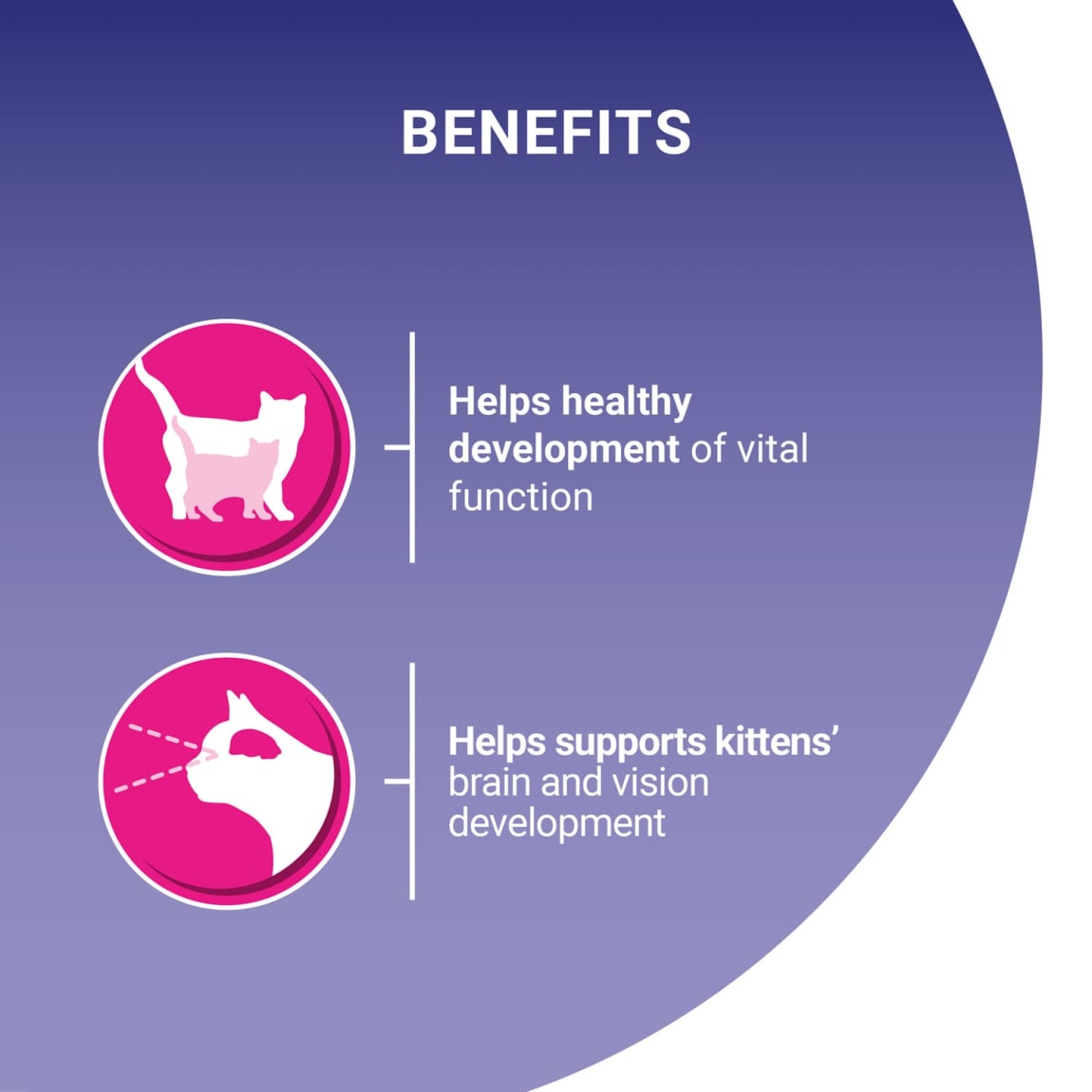 385847-purina-one-bifensis-kitten-750g-4