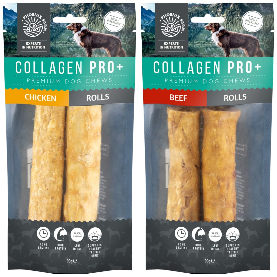 385885-collagen-pro-medium-2pk-rolls-group