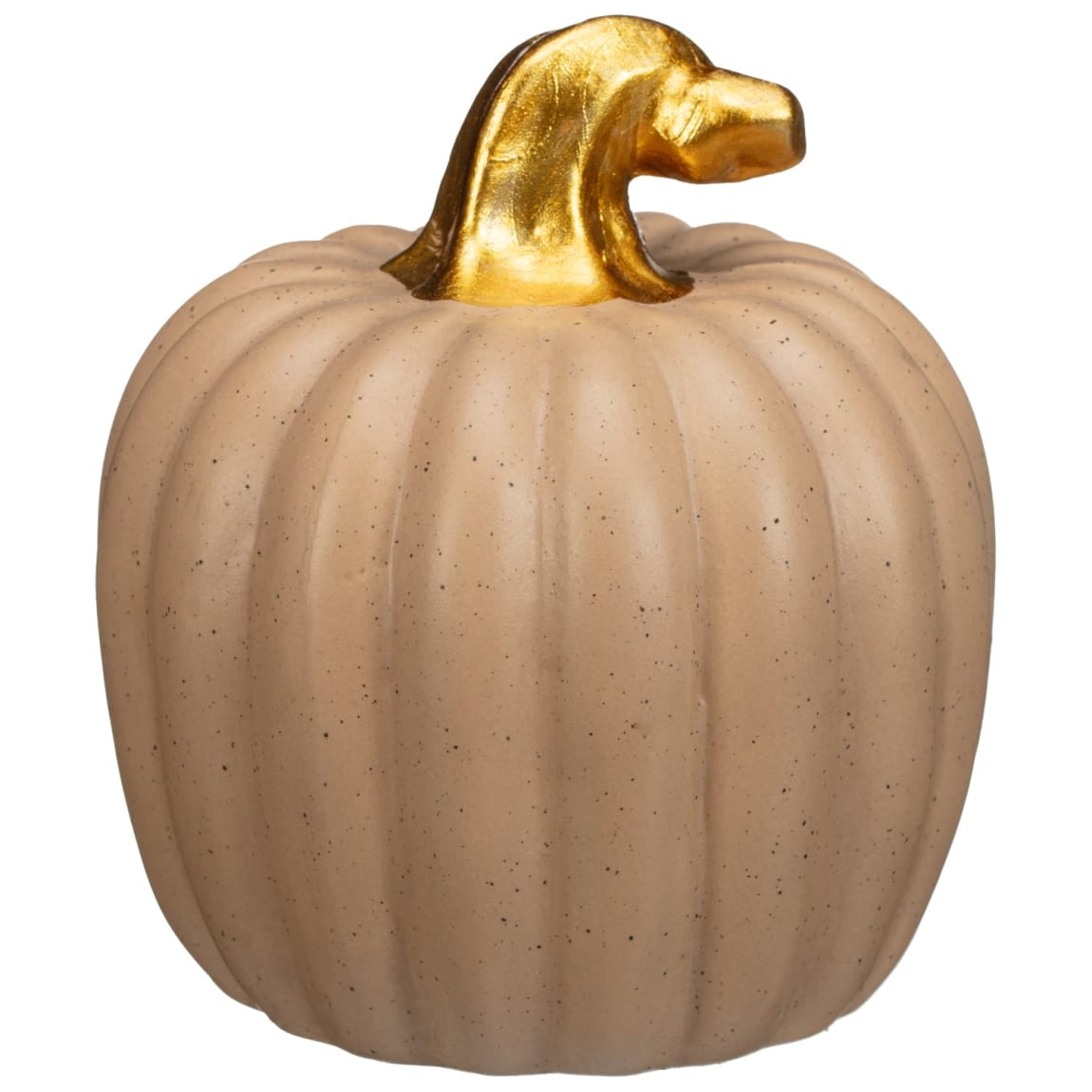 386389-small-harvest-pumpkin-4