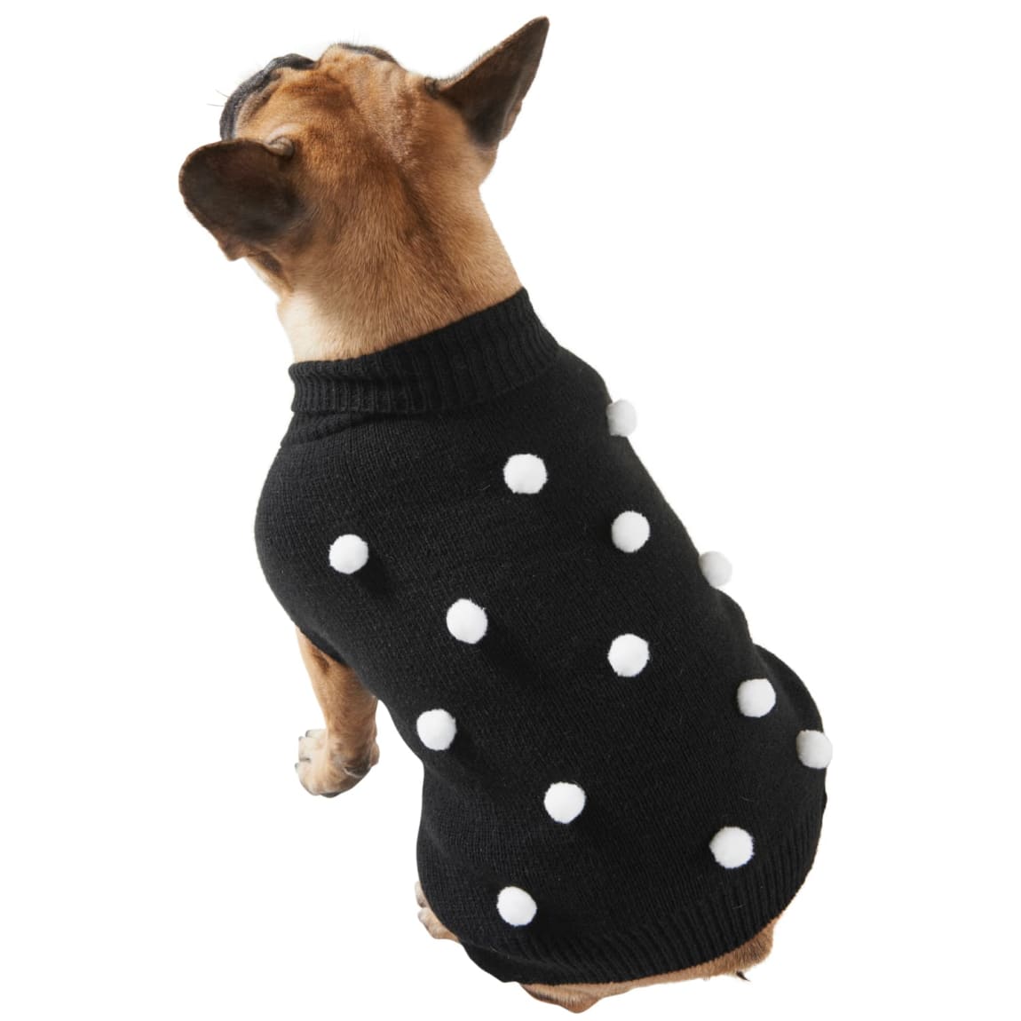 387481-387493-387499-387501-dog-jumper-spots
