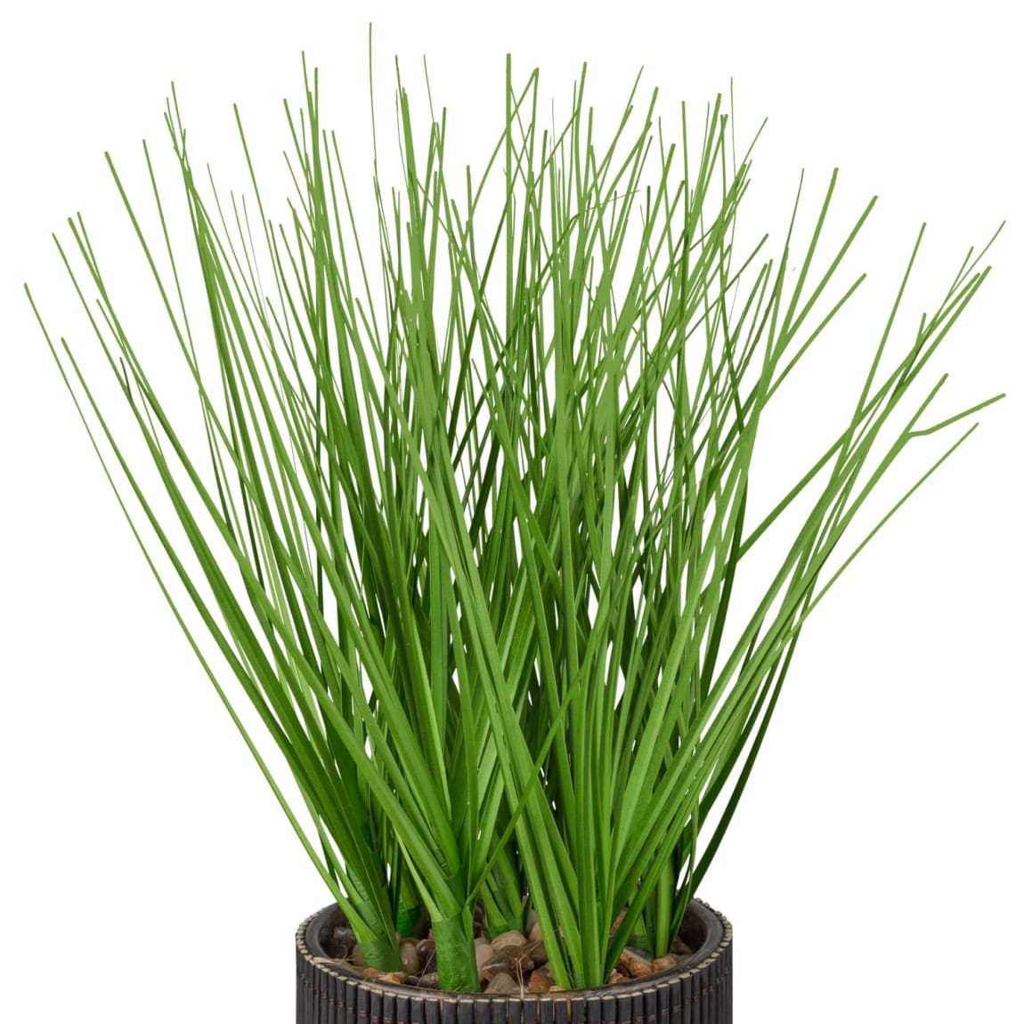 387525-grass-in-black-rattan-pot-2