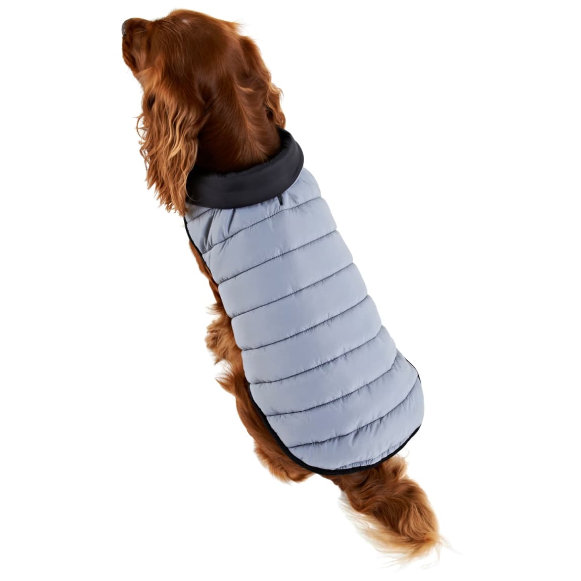 387689-387692-387693-387694-dog-reverse-puffa-black-grey-2
