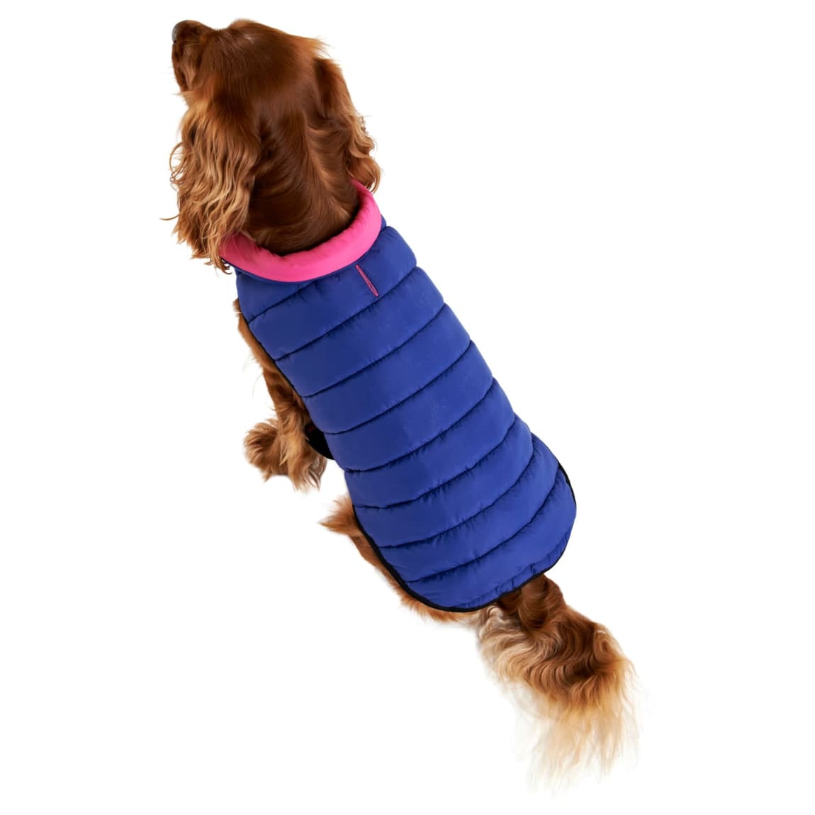 387689-387692-387693-387694-dog-reverse-puffa-pink-blue-2