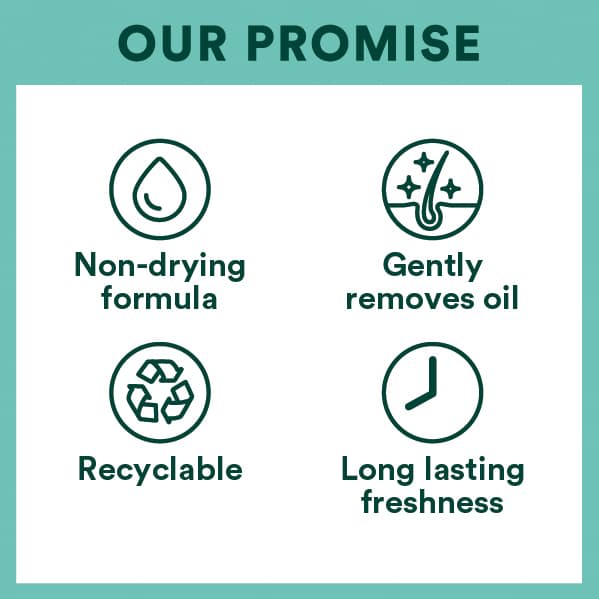 403826-403826-379199-379200-379201-379202-379203-batiste-additional-image